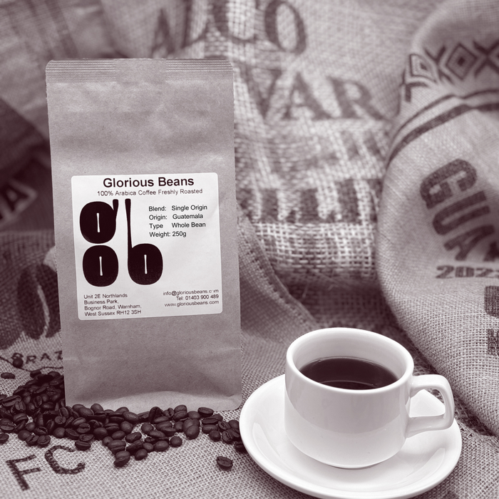 Single Origin Specialty Guatemala Coffee